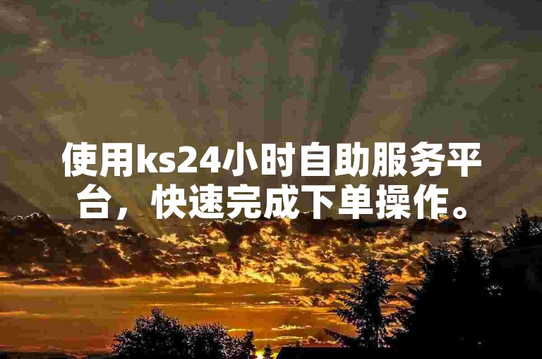 使用ks24小时自助服务平台，快速完成下单操作。