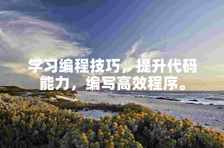 学习编程技巧，提升代码能力，编写高效程序。