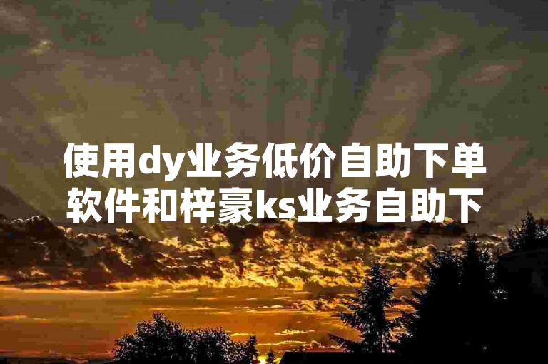 使用dy业务低价自助下单软件和梓豪ks业务自助下单平台，轻松完成各项任务。