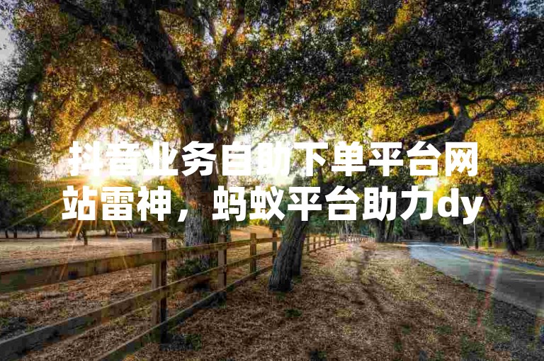 抖音业务自助下单平台网站雷神，蚂蚁平台助力dy赞自助下单。