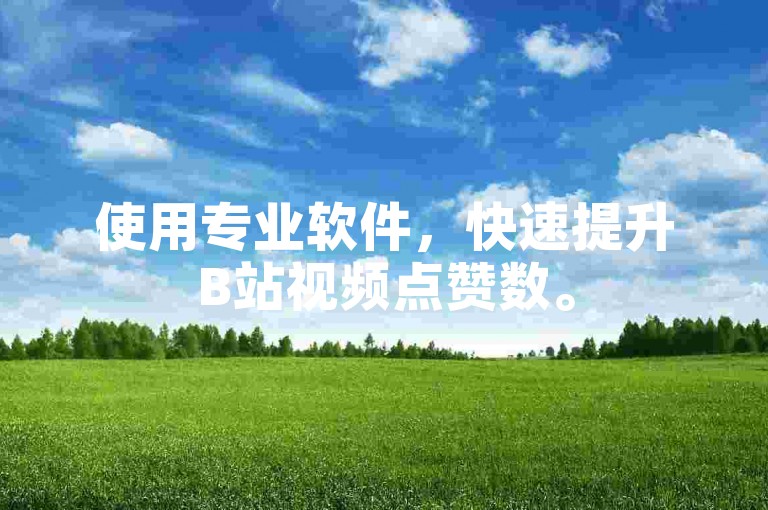 使用专业软件，快速提升B站视频点赞数。