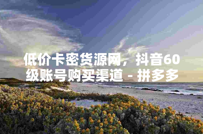 低价卡密货源网，抖音60级账号购买渠道 - 拼多多助力网站 - 抖音推广24小时自助平台。