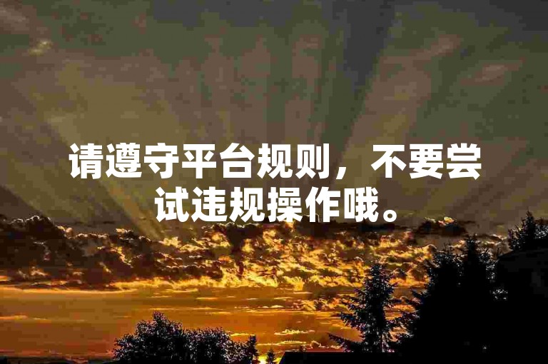 请遵守平台规则，不要尝试违规操作哦。