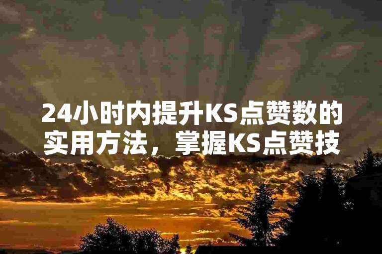 24小时内提升KS点赞数的实用方法，掌握KS点赞技巧！