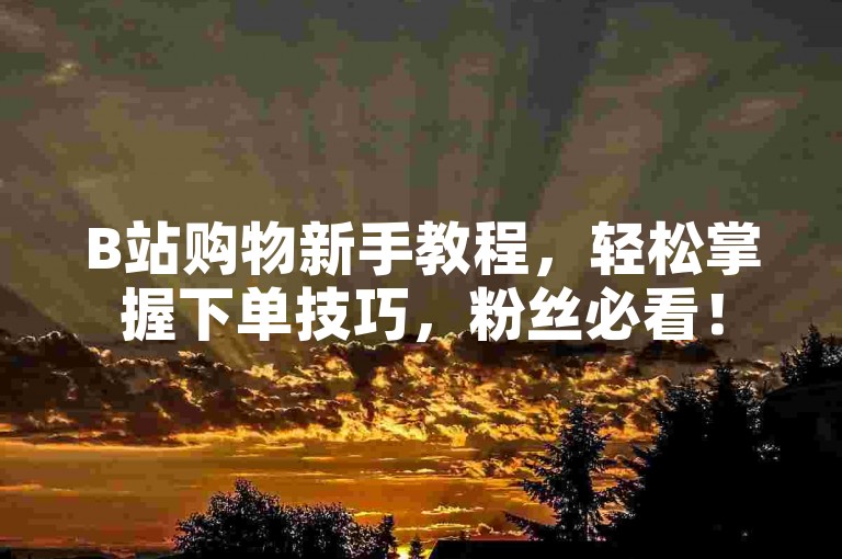 B站购物新手教程，轻松掌握下单技巧，粉丝必看！
