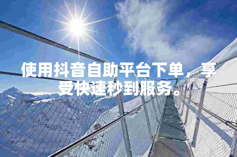 使用抖音自助平台下单，享受快速秒到服务。