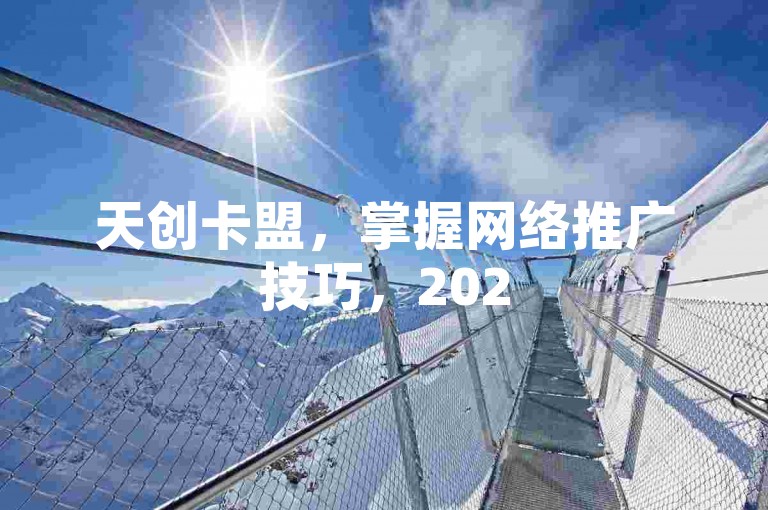 天创卡盟，掌握网络推广技巧，2025年必备技能！