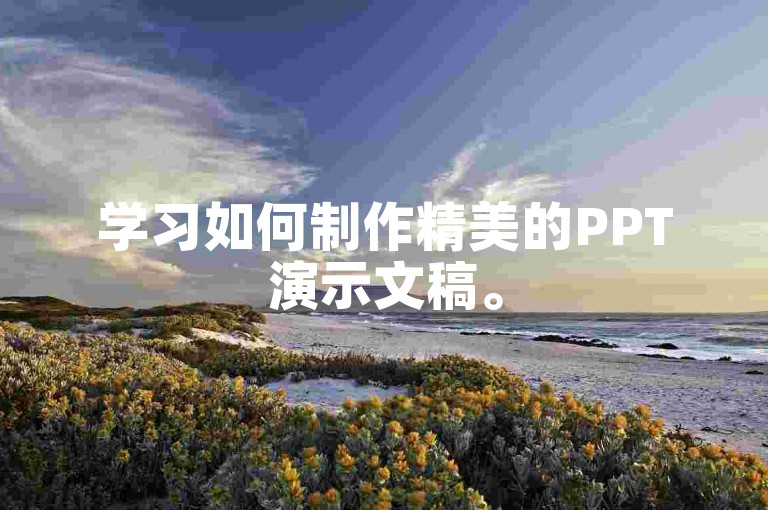 学习如何制作精美的PPT演示文稿。
