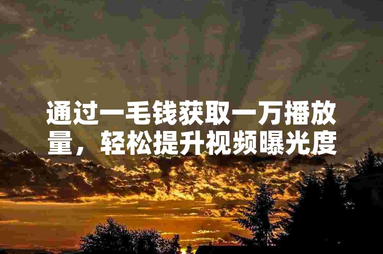 通过一毛钱获取一万播放量，轻松提升视频曝光度。