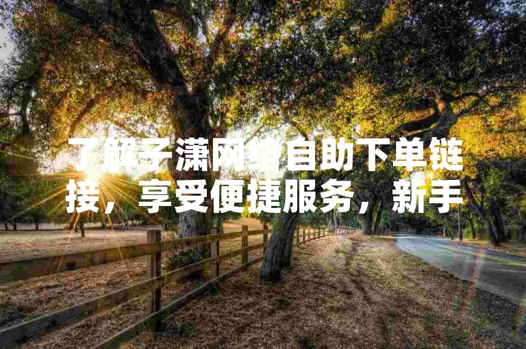了解子潇网络自助下单链接，享受便捷服务，新手必看！