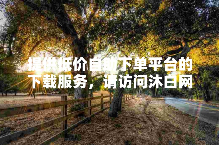 提供低价自助下单平台的下载服务，请访问沐白网站。