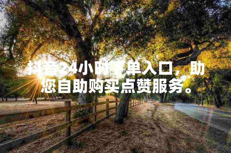 抖音24小时下单入口，助您自助购买点赞服务。