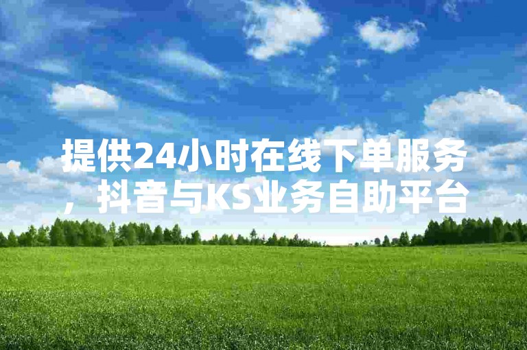 提供24小时在线下单服务，抖音与KS业务自助平台。