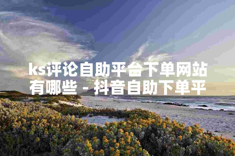 ks评论自助平台下单网站有哪些 - 抖音自助下单平台