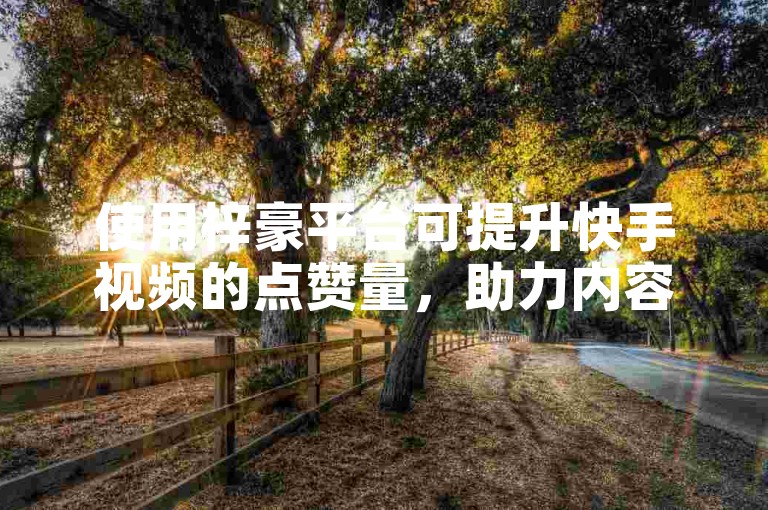 使用梓豪平台可提升快手视频的点赞量，助力内容传播。