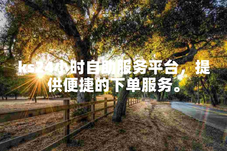 ks24小时自助服务平台，提供便捷的下单服务。