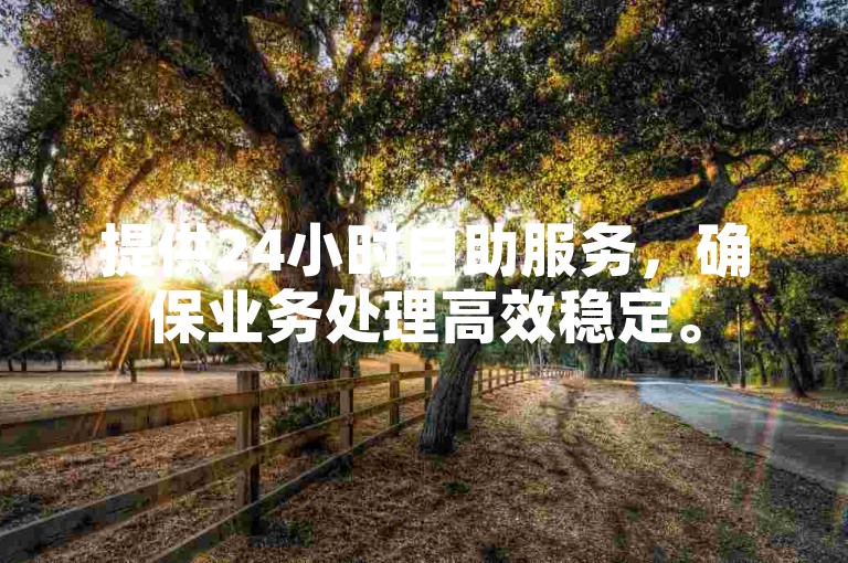 提供24小时自助服务，确保业务处理高效稳定。