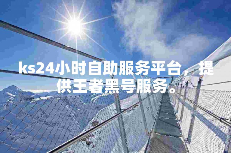 ks24小时自助服务平台，提供王者黑号服务。