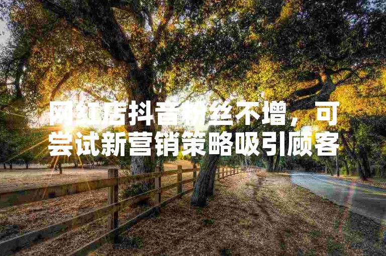网红店抖音粉丝不增，可尝试新营销策略吸引顾客。