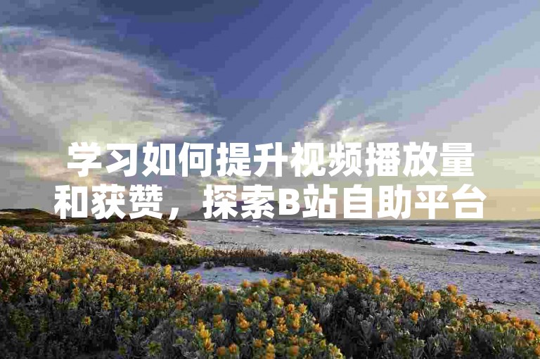 学习如何提升视频播放量和获赞，探索B站自助平台。
