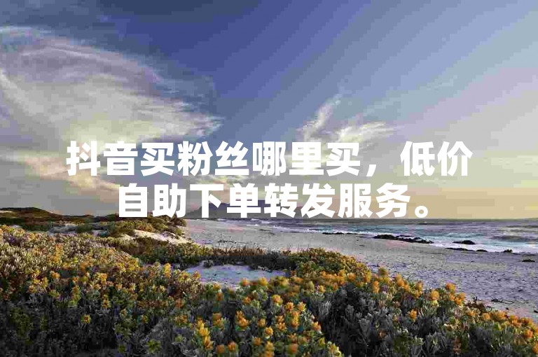 抖音买粉丝哪里买，低价自助下单转发服务。
