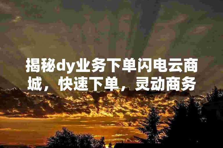 揭秘dy业务下单闪电云商城，快速下单，灵动商务新体验！