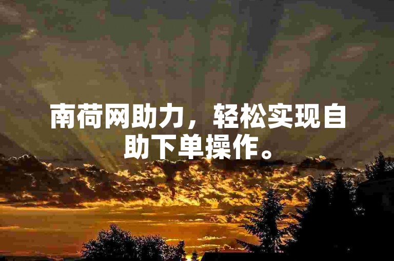 南荷网助力，轻松实现自助下单操作。