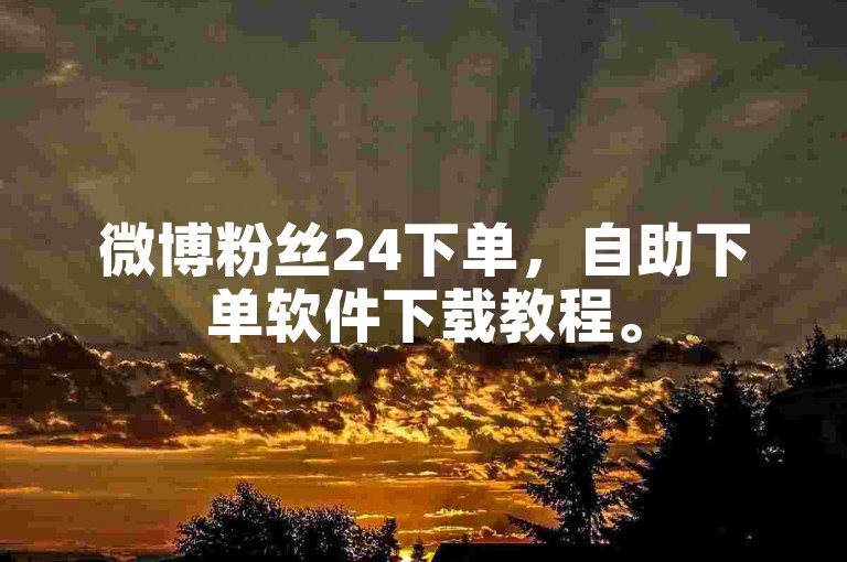 微博粉丝24下单，自助下单软件下载教程。
