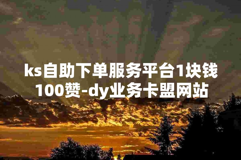 ks自助下单服务平台1块钱100赞-dy业务卡盟网站