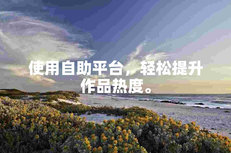 使用自助平台，轻松提升作品热度。