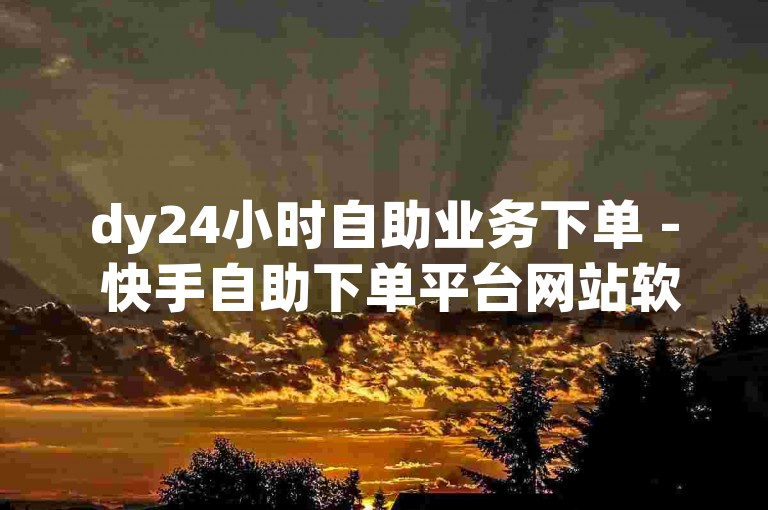 dy24小时自助业务下单 - 快手自助下单平台网站软件