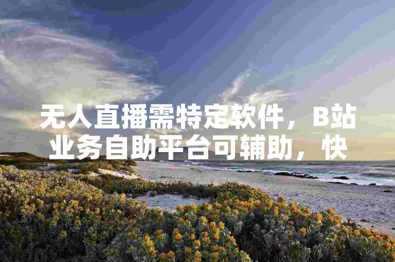 无人直播需特定软件，B站业务自助平台可辅助，快手有免费涨赞评软件。