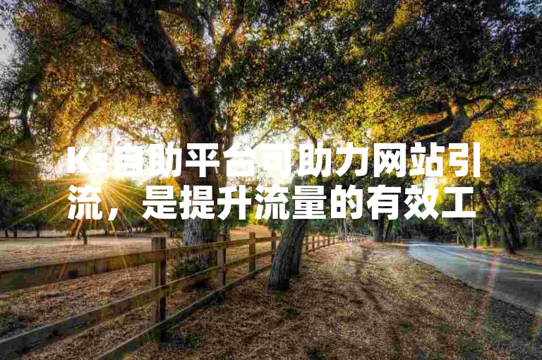 Ks自助平台可助力网站引流，是提升流量的有效工具。