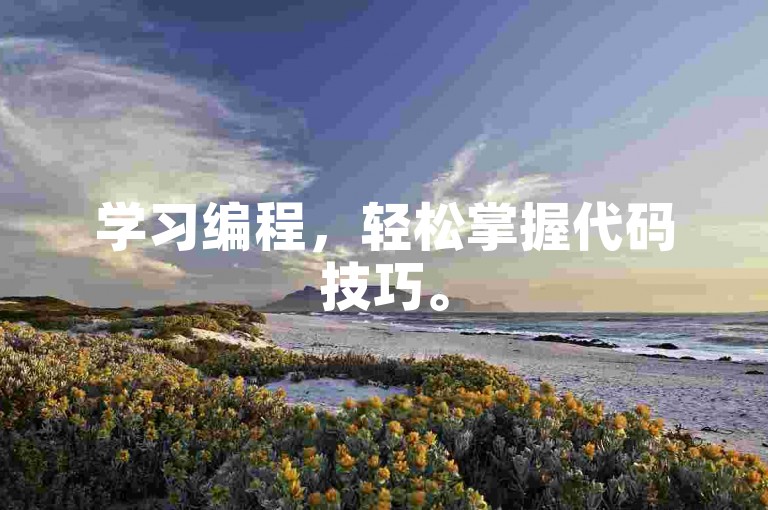 学习编程，轻松掌握代码技巧。