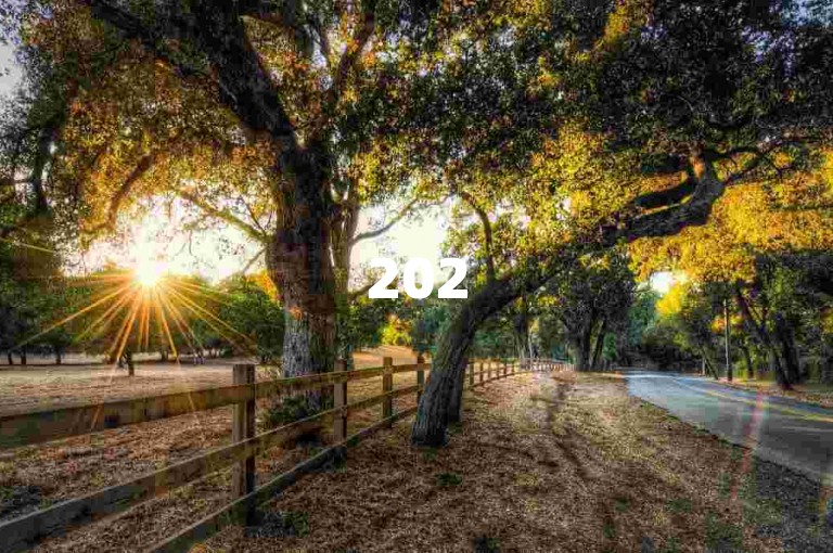 2025拼多多互助群，助力享优惠，速来加入。