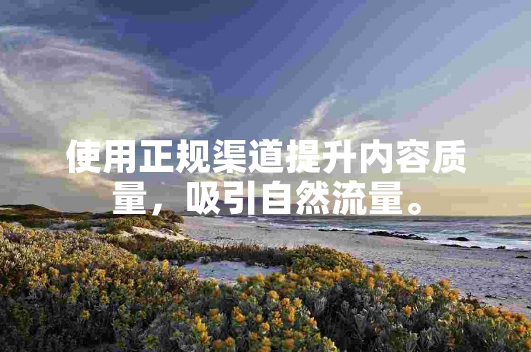 使用正规渠道提升内容质量，吸引自然流量。