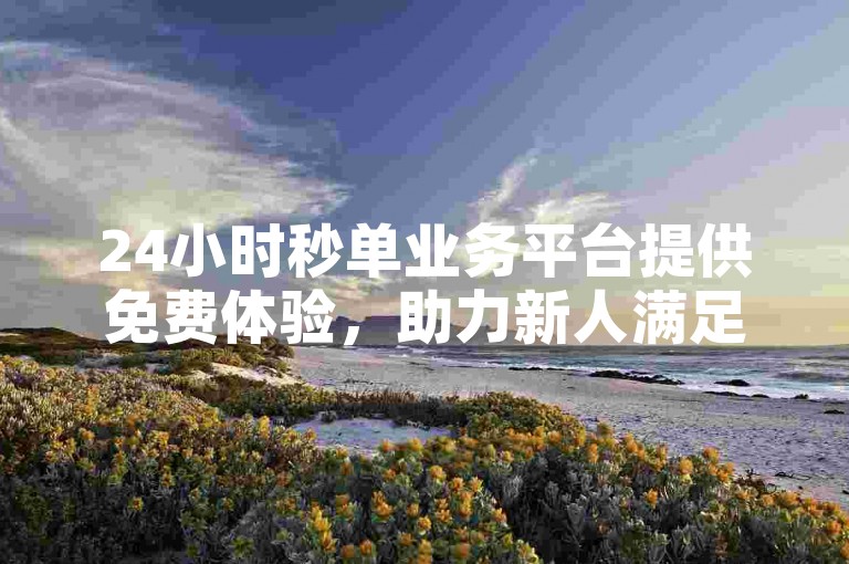 24小时秒单业务平台提供免费体验，助力新人满足购物需求。