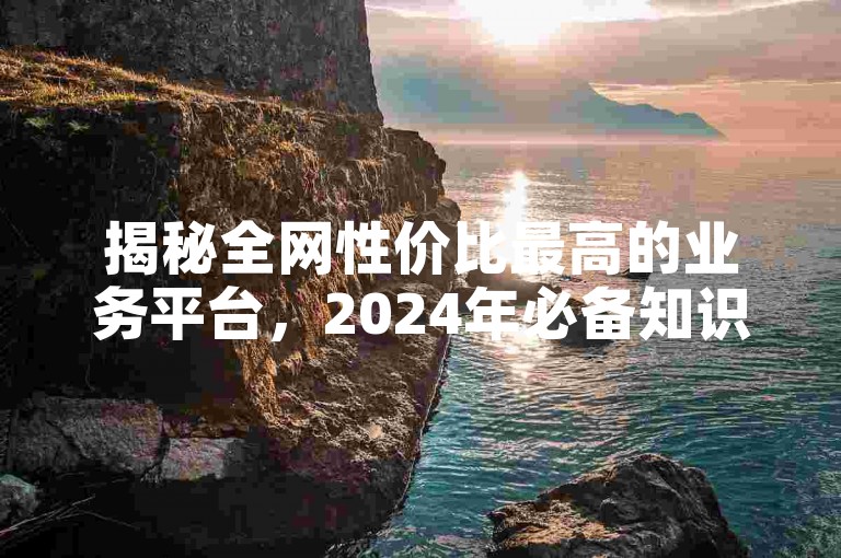 揭秘全网性价比最高的业务平台，2024年必备知识！