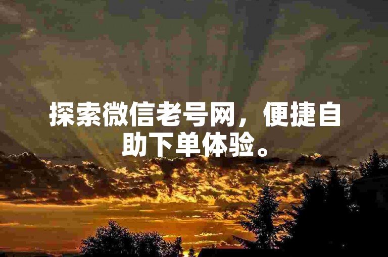 探索微信老号网，便捷自助下单体验。