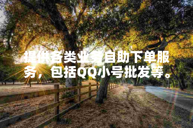 提供各类业务自助下单服务，包括QQ小号批发等。