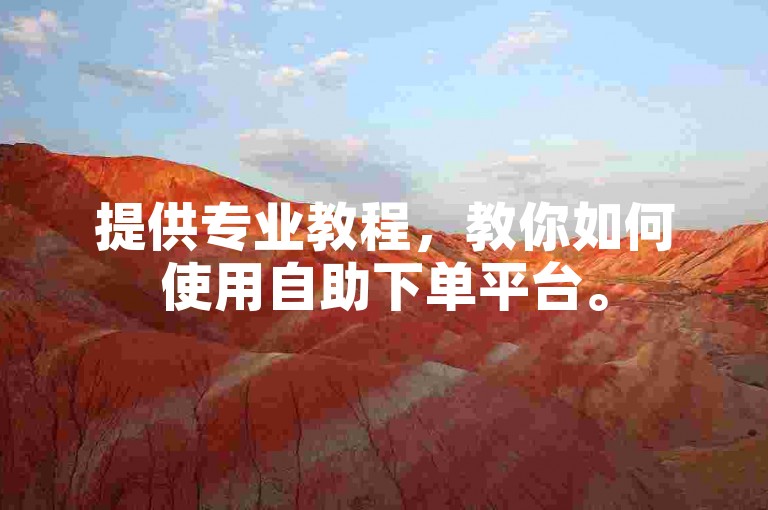 提供专业教程，教你如何使用自助下单平台。