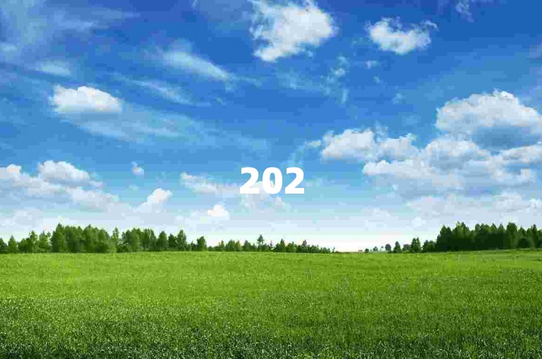 2025互助微信群，助力拼多多砍价，欢迎加入！