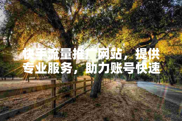 快手流量推广网站，提供专业服务，助力账号快速成长。