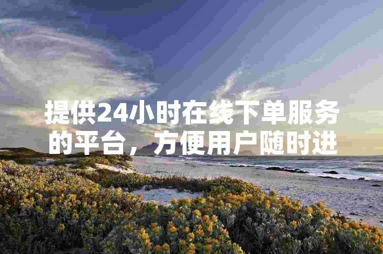 提供24小时在线下单服务的平台，方便用户随时进行操作。