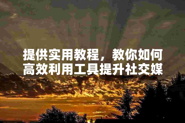 提供实用教程，教你如何高效利用工具提升社交媒体影响力。