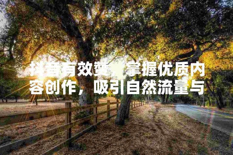 抖音有效赞，掌握优质内容创作，吸引自然流量与点赞。