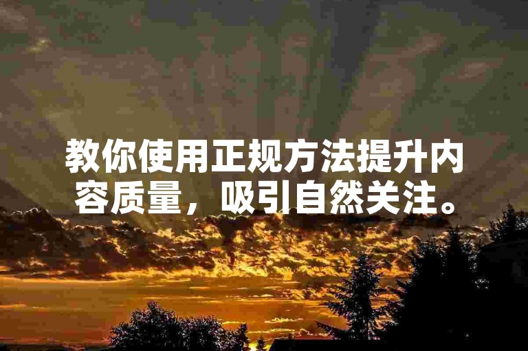 教你使用正规方法提升内容质量，吸引自然关注。