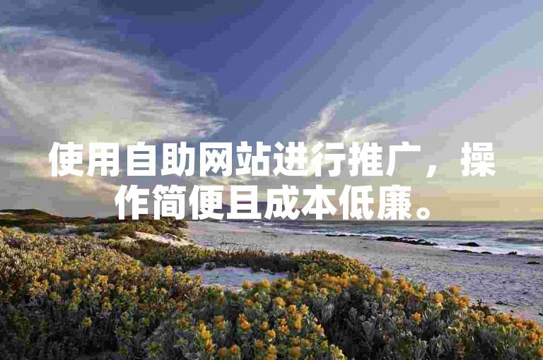 使用自助网站进行推广，操作简便且成本低廉。