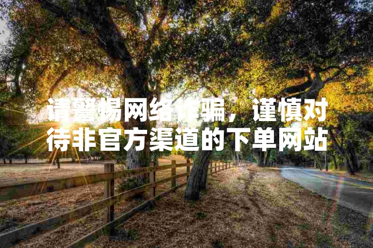 请警惕网络诈骗，谨慎对待非官方渠道的下单网站。