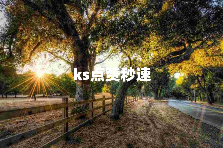 ks点赞秒速5000，卡盟自助24小时下单平台。